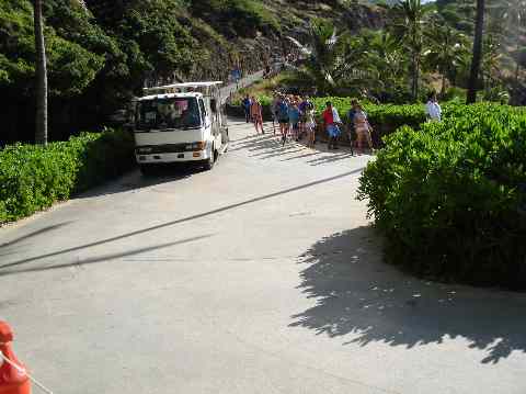 Crowds at Hanauma Beach 